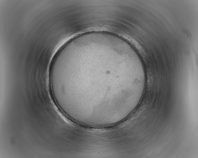 X0000115180894200911121758