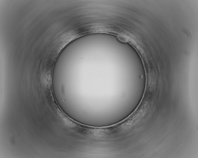 X0000115180897200911121758