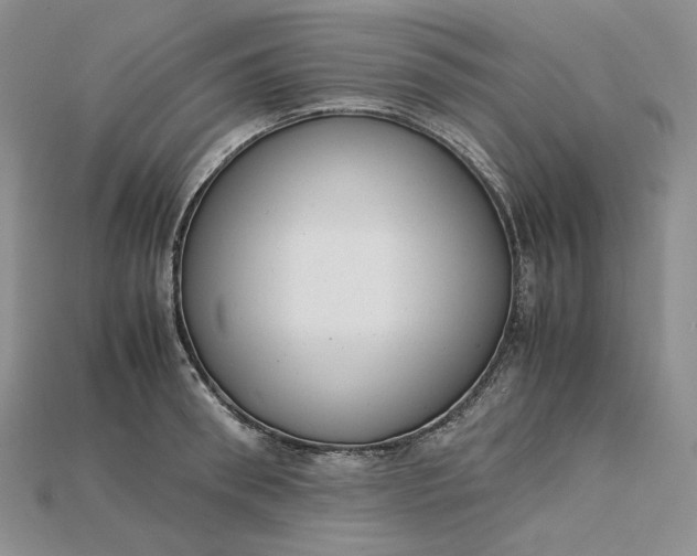 X0000115180898200911121758