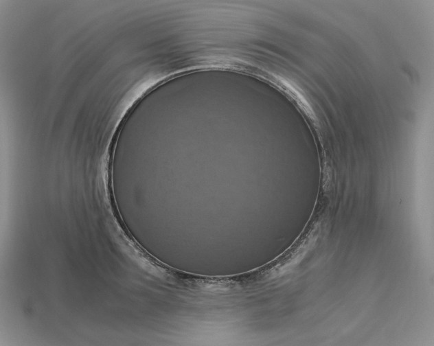X0000115180899200911121758