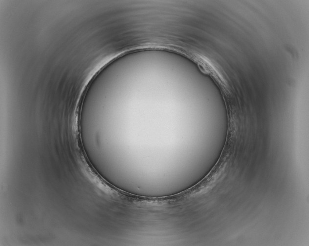 X0000115180900200911121758