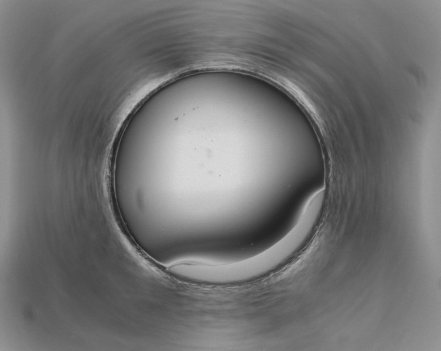 X0000115180901200911121758
