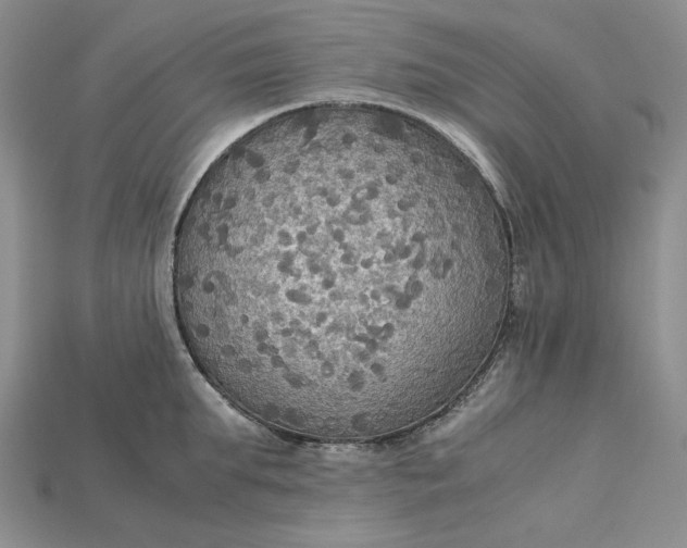 X0000115180903200911121758