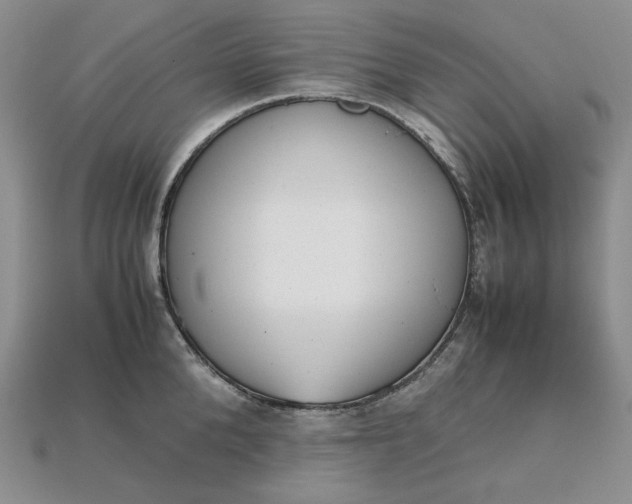 X0000115180904200911121758