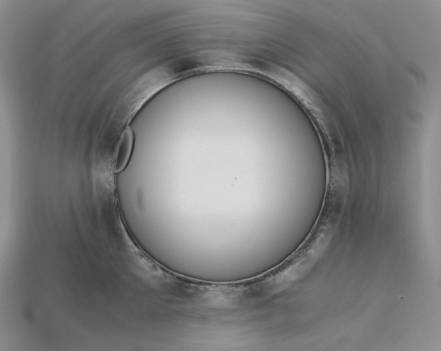 X0000115180905200911121758