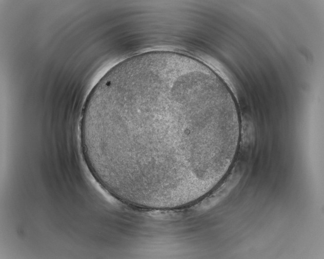 X0000115180906200911121758