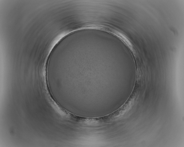 X0000115180907200911121758