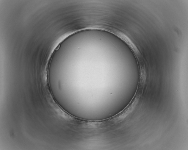 X0000115180908200911121758