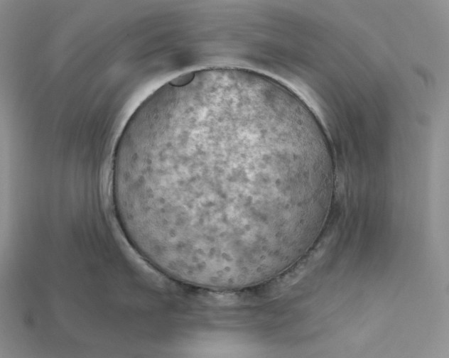 X0000115180911200911121758