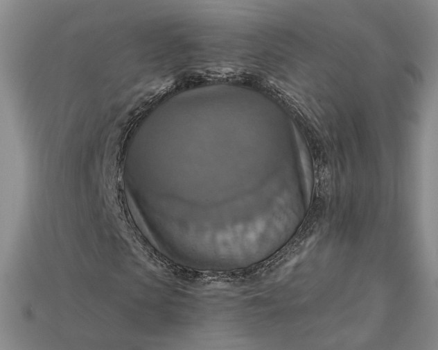 X0000115180913200911121757