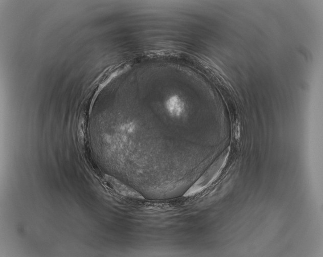 X0000115180915200911121757