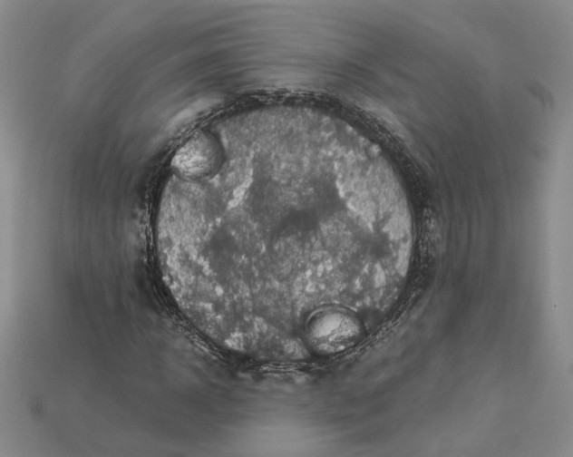 X0000115180918200911121757