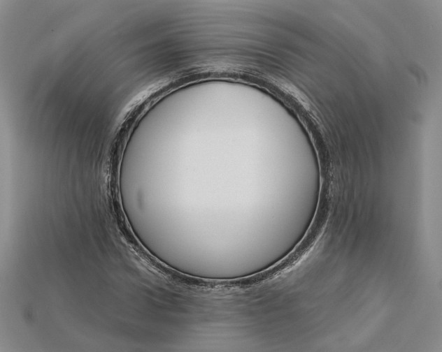 X0000115180922200911121757