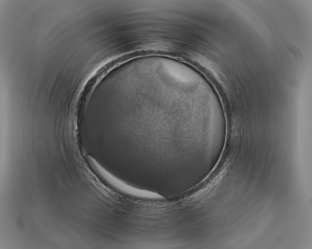 X0000115180923200911121757
