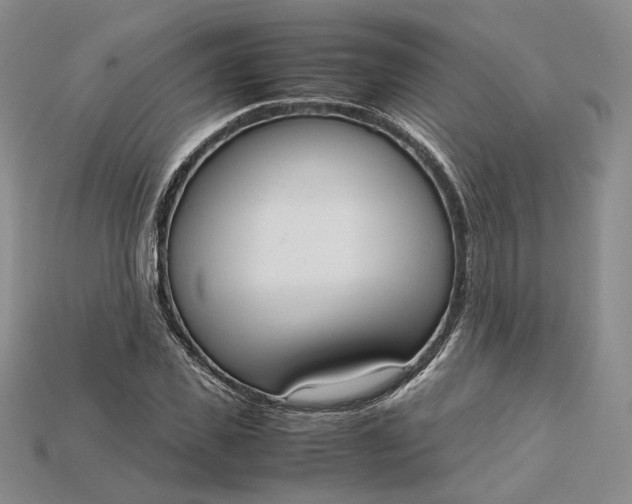X0000115180925200911121757