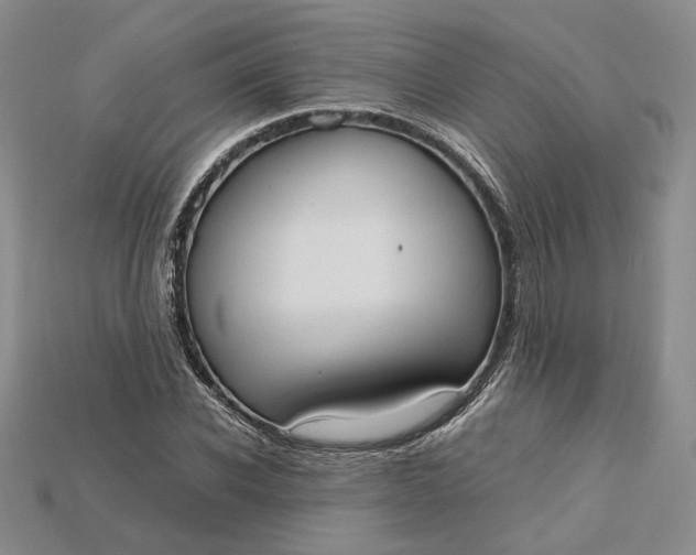 X0000115180926200911121757