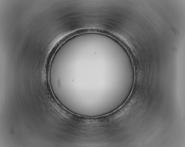 X0000115180927200911121757