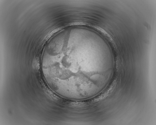 X0000115180929200911121757