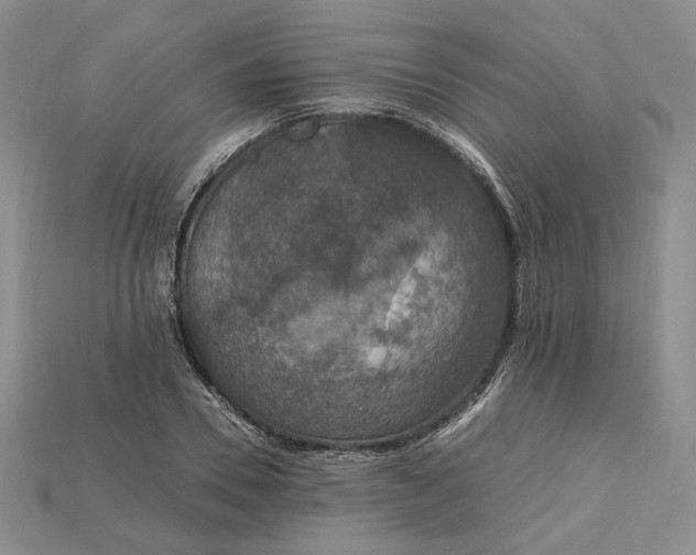 X0000115180930200911121757