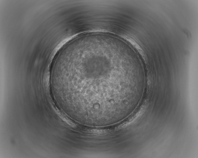 X0000115180933200911121758