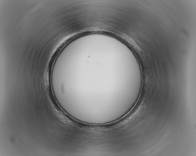 X0000115180934200911121758