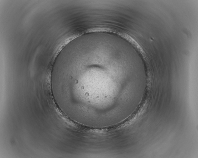 X0000115180937200911121758