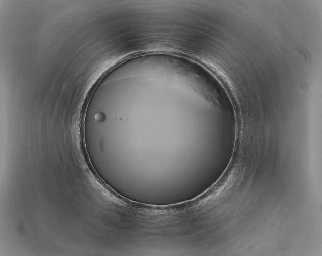X0000115180941200911121758