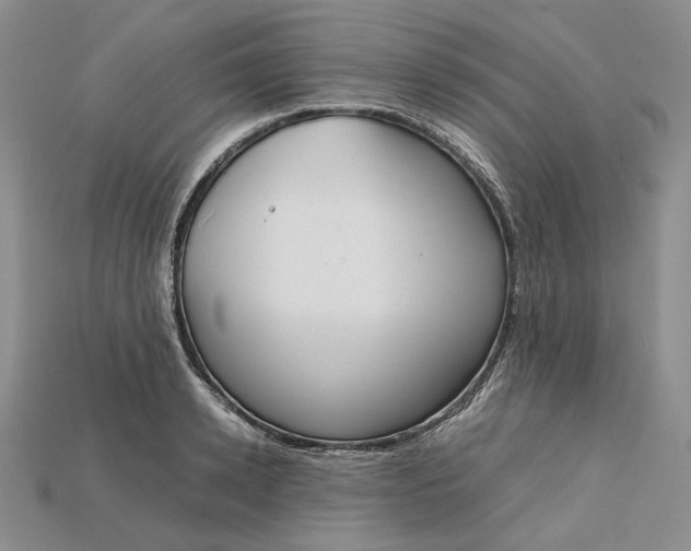X0000115180942200911121758