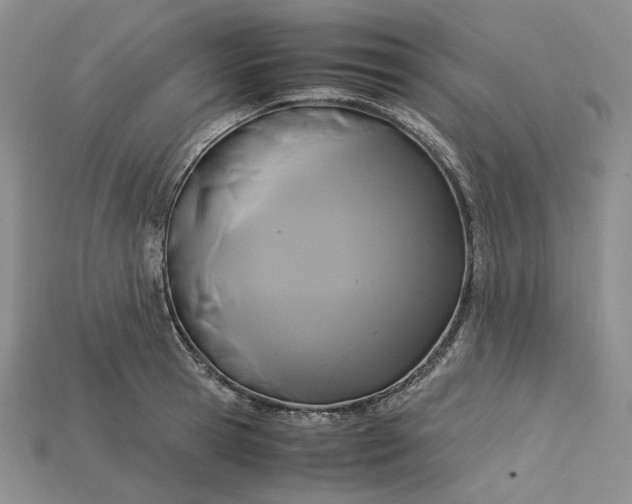 X0000115180945200911121758