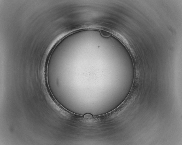 X0000115180947200911121758