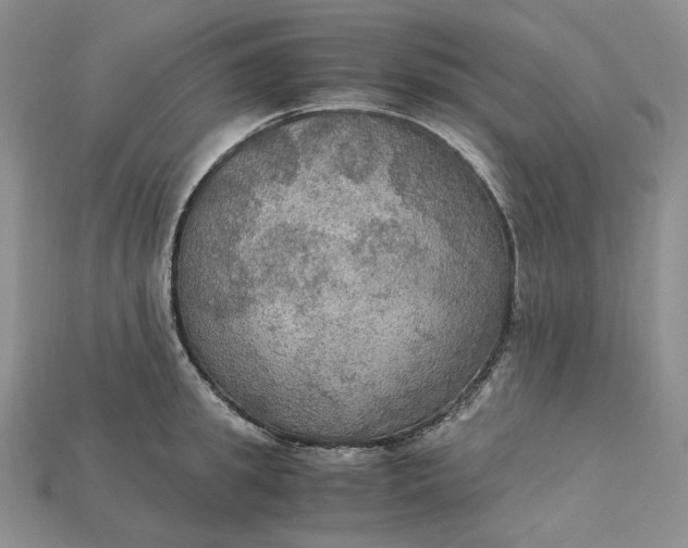 X0000115180949200911121758