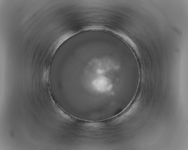 X0000115180953200911121758