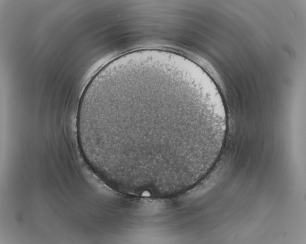 X0000115180954200911121758