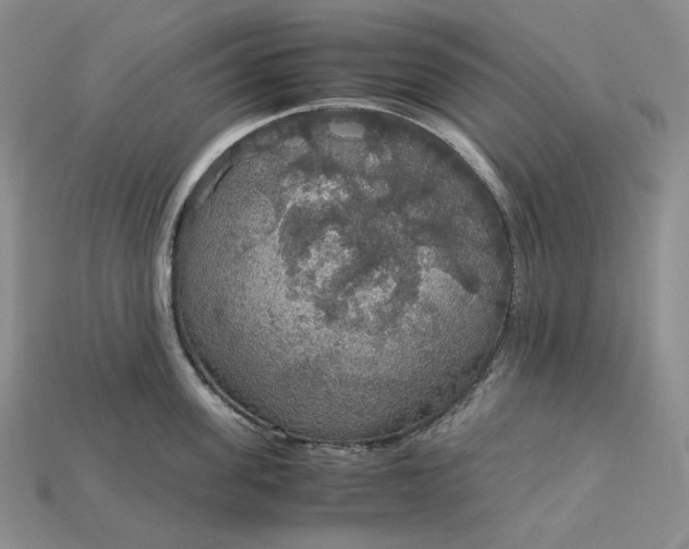 X0000115180955200911121758