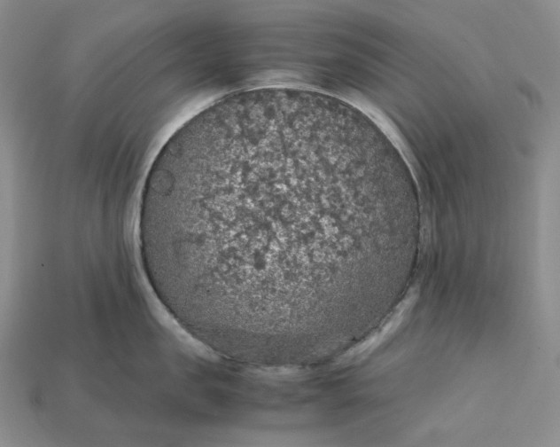 X0000115180957200911121758