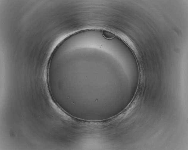 X0000115180958200911121758