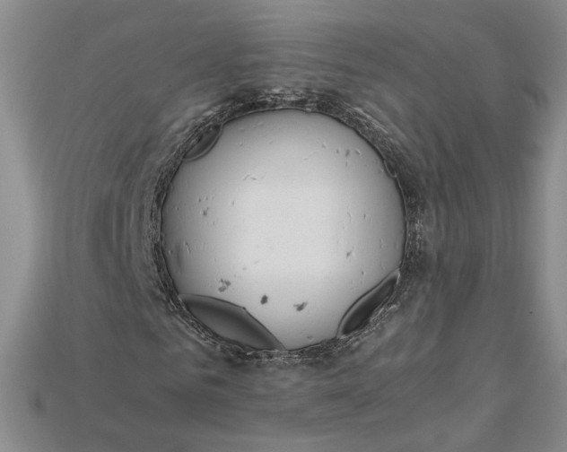 X0000115180961200911121757