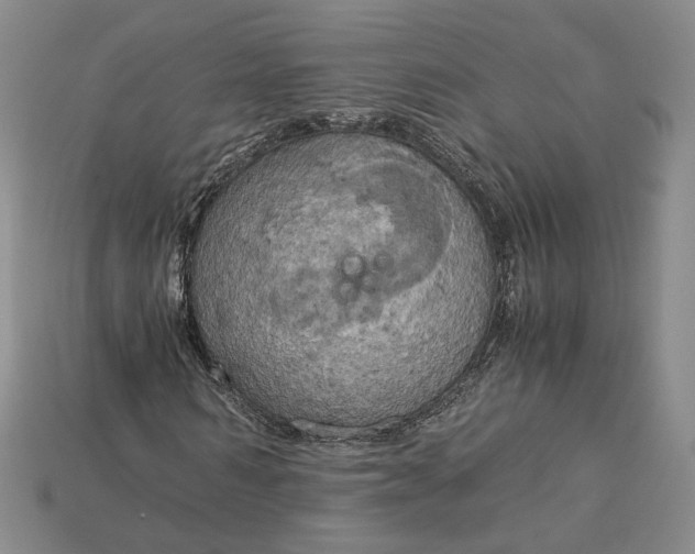 X0000115180962200911121757