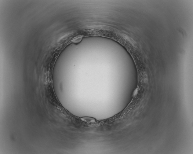 X0000115180965200911121757