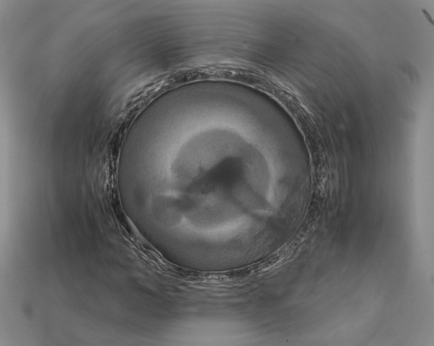 X0000115180966200911121757