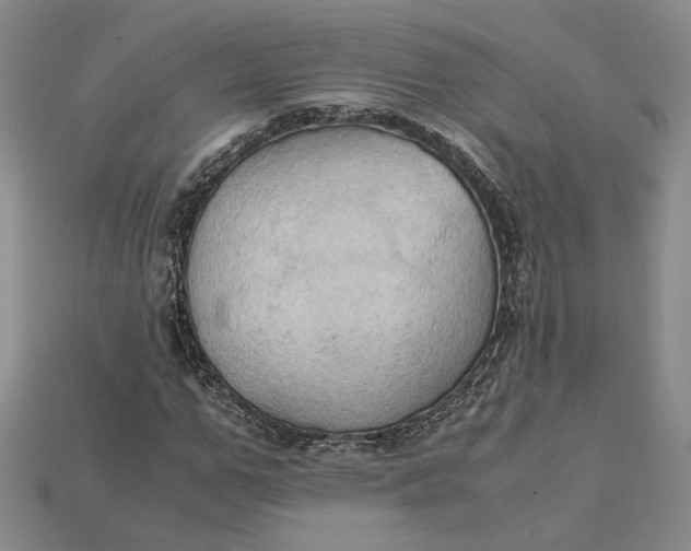 X0000115180967200911121757