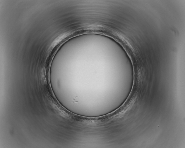 X0000115180970200911121757