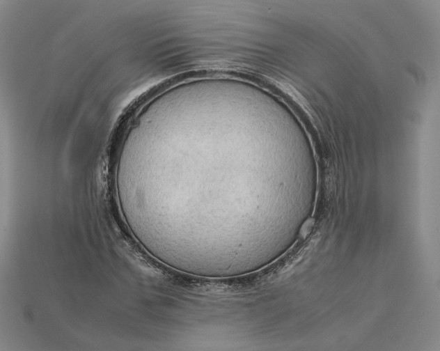 X0000115180971200911121757