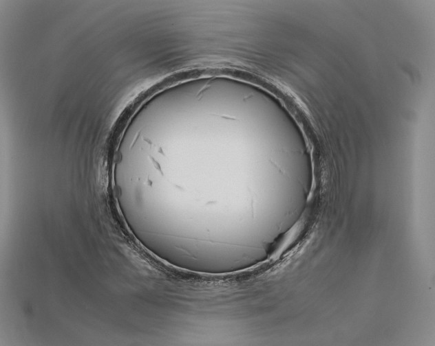 X0000115180973200911121757
