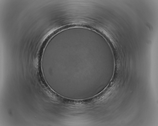 X0000115180975200911121757