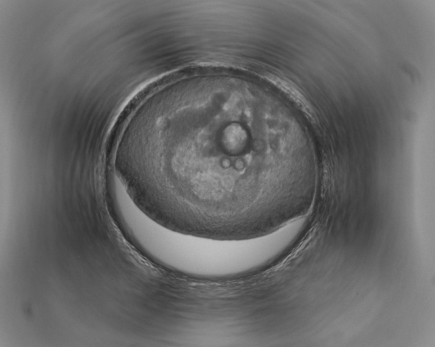 X0000115180976200911121757