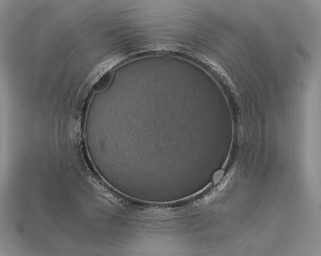X0000115180977200911121757