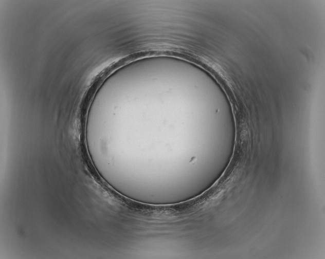 X0000115180979200911121757