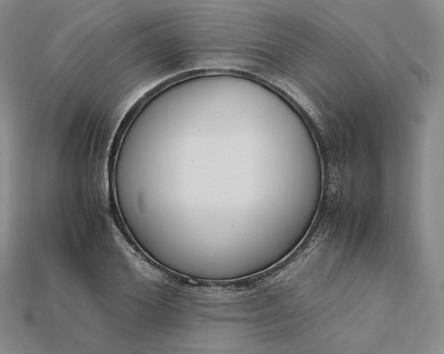 X0000115180980200911121757