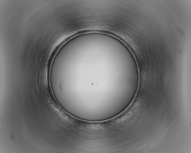 X0000115180982200911121757